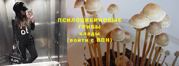 ГАЛЛЮЦИНОГЕННЫЕ ГРИБЫ Краснослободск