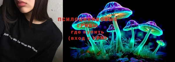 мяу мяу кристалл Корсаков
