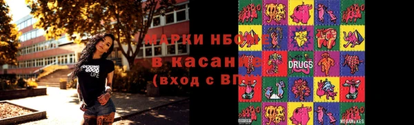 шишки Коряжма
