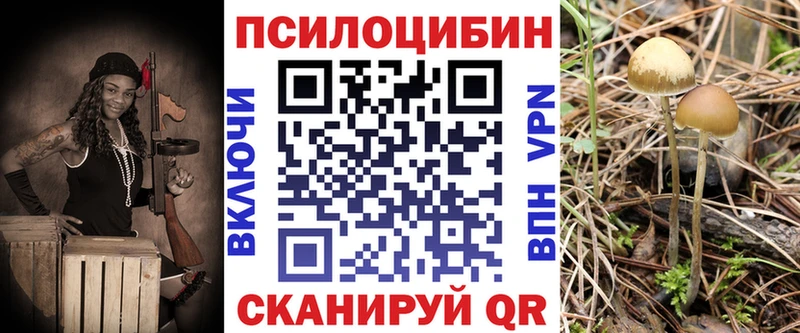 Псилоцибиновые грибы ЛСД  сколько стоит  Красный Сулин 